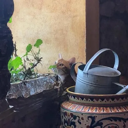 Διαμέρισμα Luca House