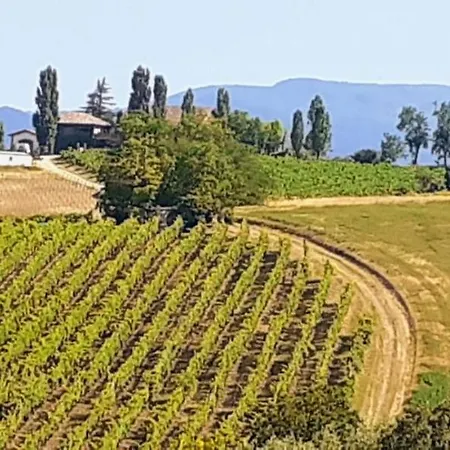 Luca House Apartment *