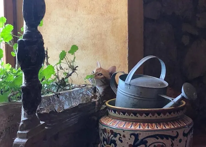 Апартаменты Luca House