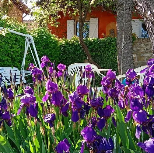 Luca House Апартаменты *