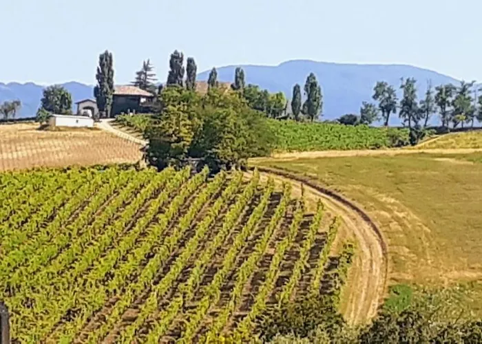 Luca House Апартаменты *